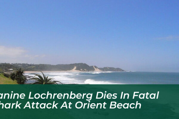 janine lochrenberg dies in fatal shark attack at orient beach mXVi