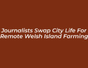 journalists swap city life for remote welsh island farming g07j