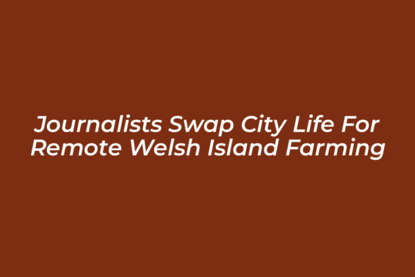 journalists swap city life for remote welsh island farming g07j