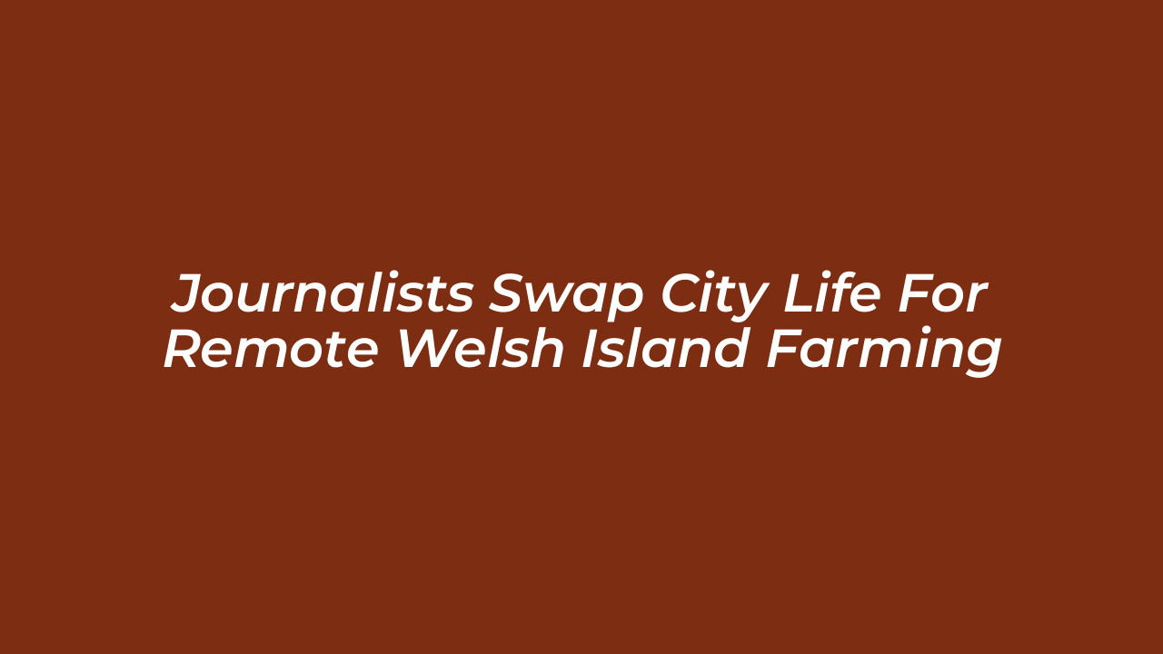 journalists swap city life for remote welsh island farming g07j