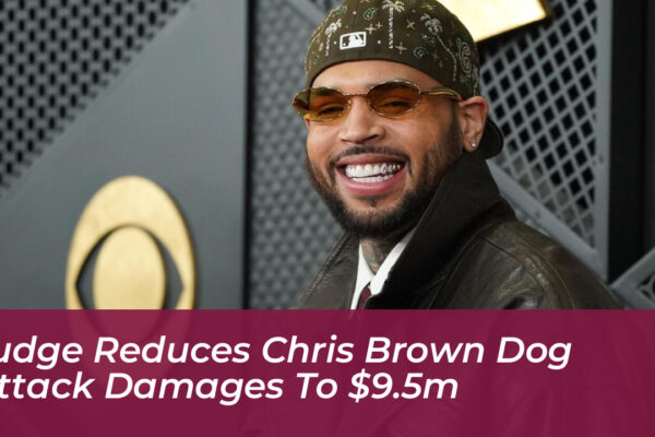 judge reduces chris brown dog attack damages to 9 5m 2MEW