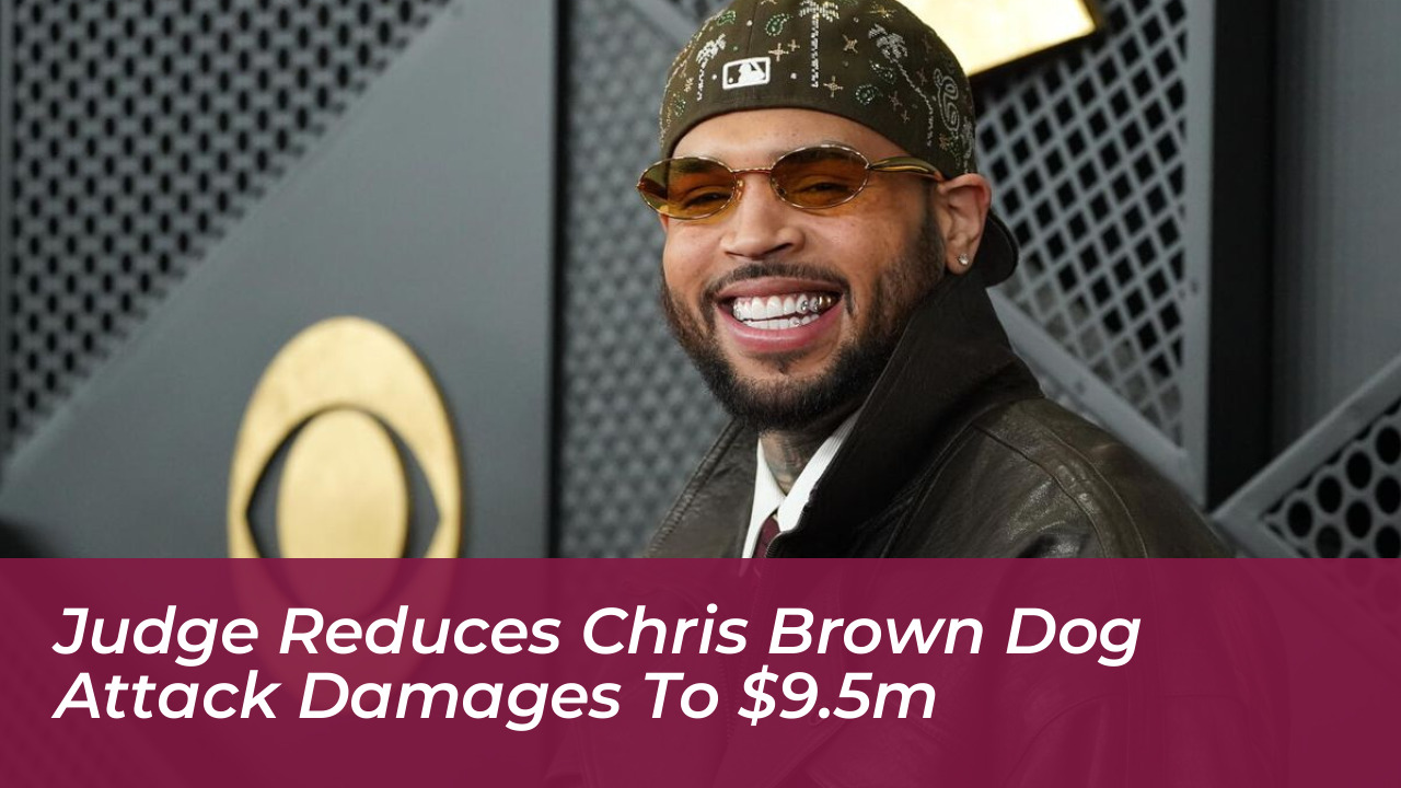 judge reduces chris brown dog attack damages to 9 5m 2MEW