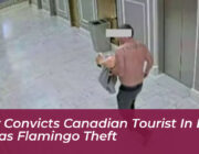 jury convicts canadian tourist in las vegas flamingo theft rWmw