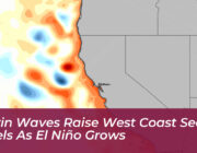 kelvin waves raise west coast sea levels as el nino grows T8ve