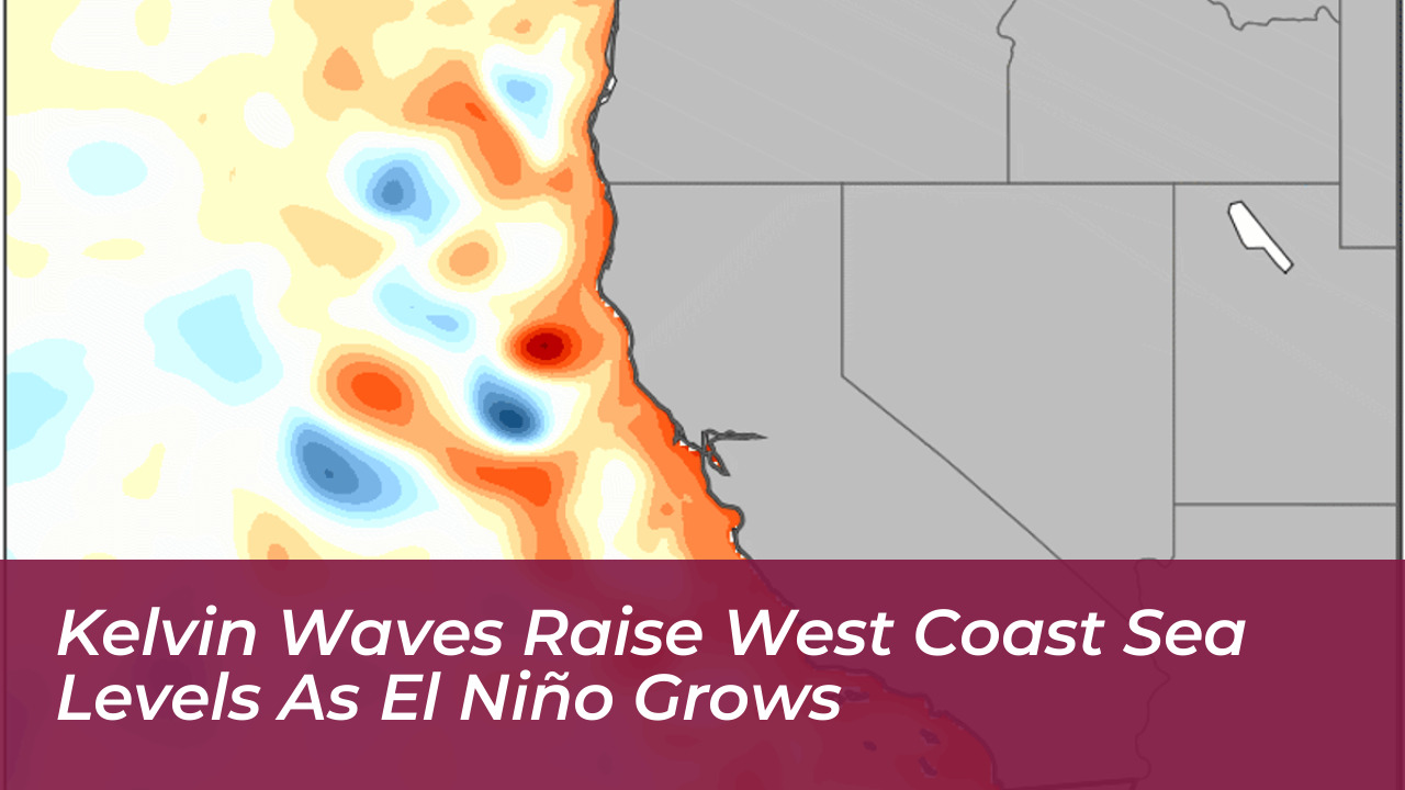 kelvin waves raise west coast sea levels as el nino grows T8ve