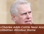 king charles adds cattle near andrew mountbatten windsor home 5qQF