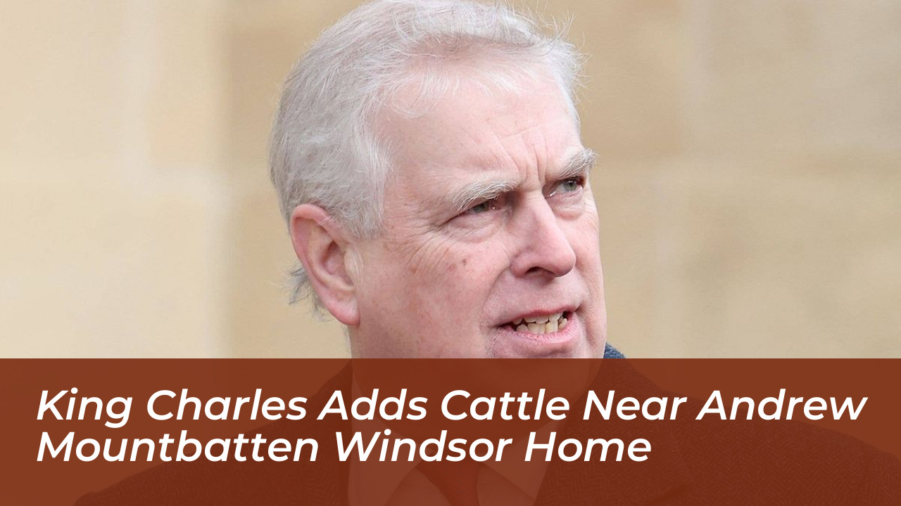 king charles adds cattle near andrew mountbatten windsor home 5qQF