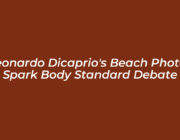 leonardo dicaprios beach photos spark body standard debate ZJ18