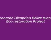 leonardo dicaprios belize island eco restoration project alAE