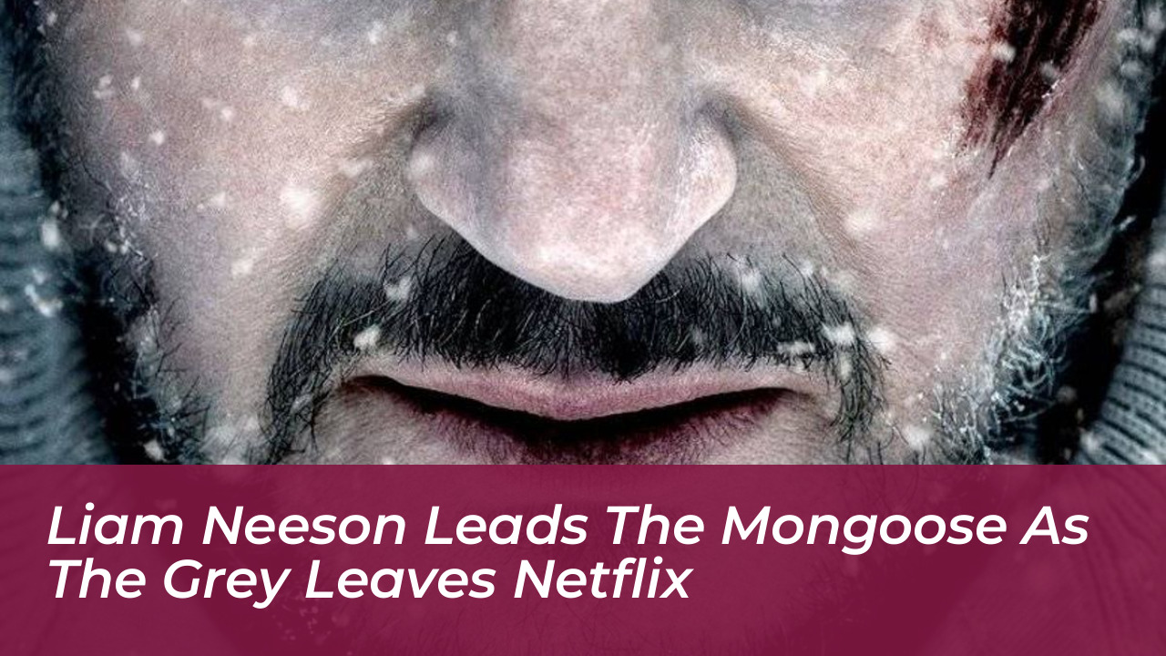 liam neeson leads the mongoose as the grey leaves netflix