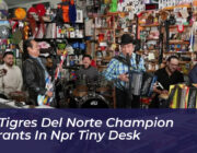 los tigres del norte champion migrants in npr tiny desk AYMg