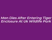 man dies after entering tiger enclosure at uk wildlife park YsC6