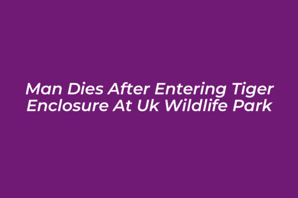 man dies after entering tiger enclosure at uk wildlife park YsC6