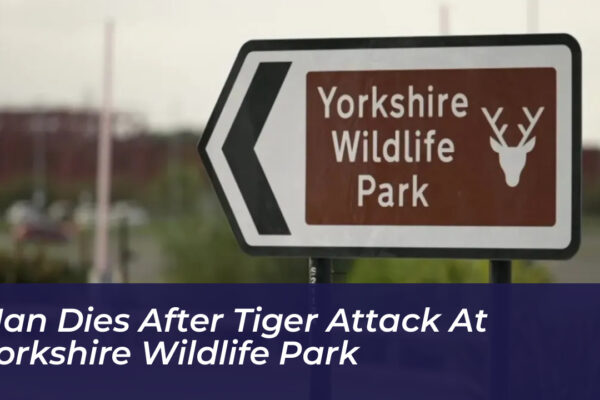 man dies after tiger attack at yorkshire wildlife park 2RQN