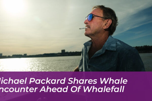michael packard shares whale encounter ahead of whalefall QDi9