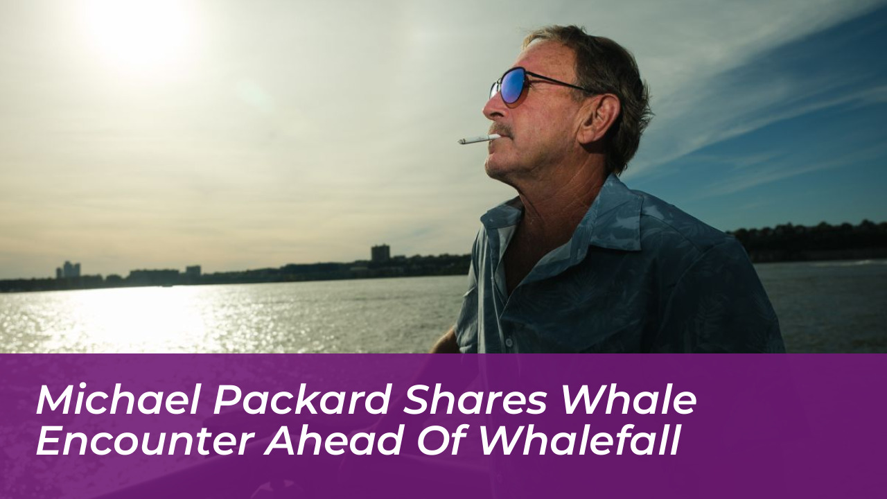michael packard shares whale encounter ahead of whalefall QDi9