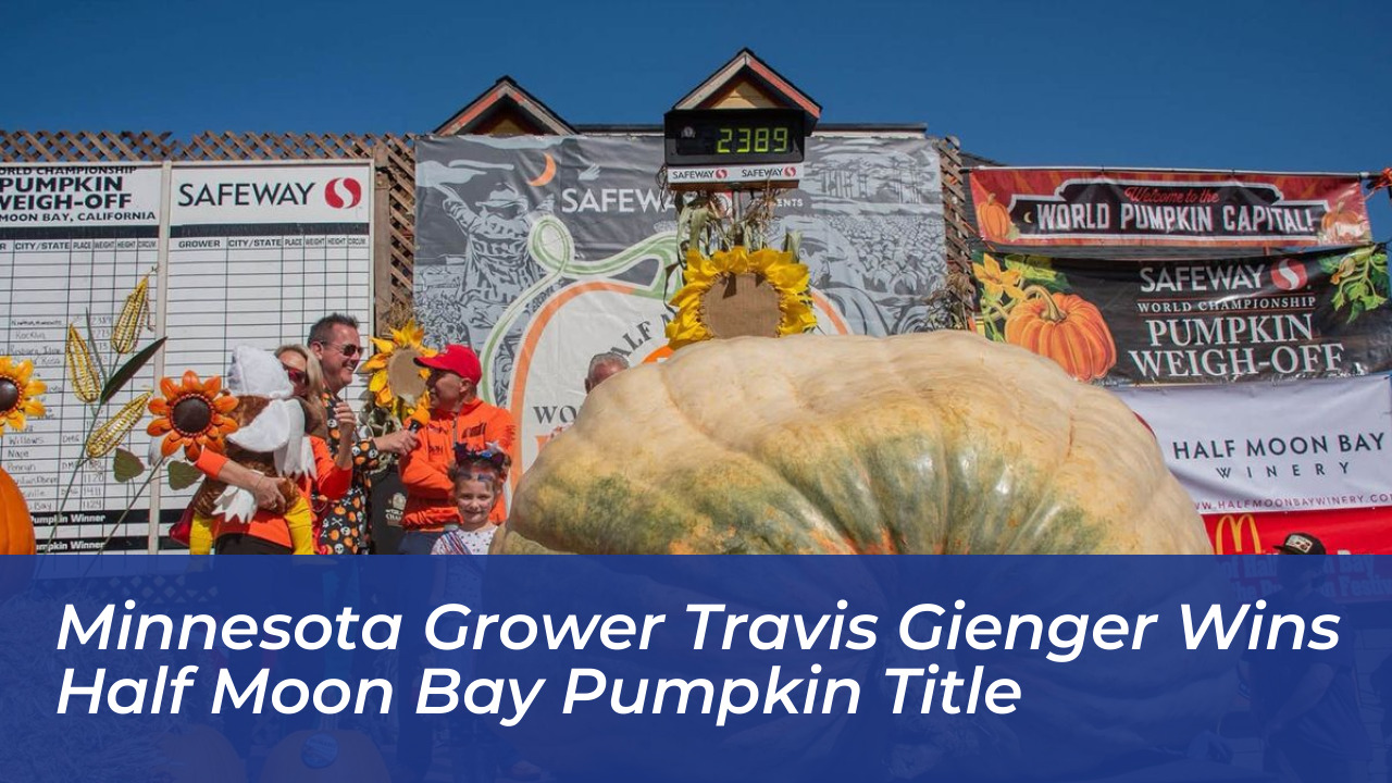minnesota grower travis gienger wins half moon bay pumpkin title 5cKl