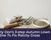 monty dons 3 step autumn lawn routine to fix patchy grass Tv1S
