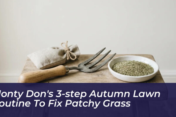 monty dons 3 step autumn lawn routine to fix patchy grass Tv1S