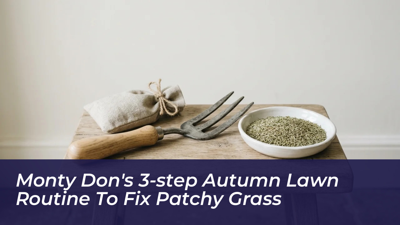 monty dons 3 step autumn lawn routine to fix patchy grass Tv1S
