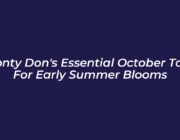 monty dons essential october task for early summer blooms zqHS