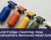 natural fridge cleaning how grandmothers removed mold safe OeTz