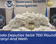 nevada deputies seize 700 pounds of fentanyl and meth mnPy