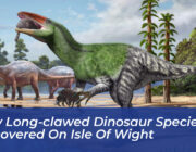 new long clawed dinosaur species discovered on isle of wight 9fnU
