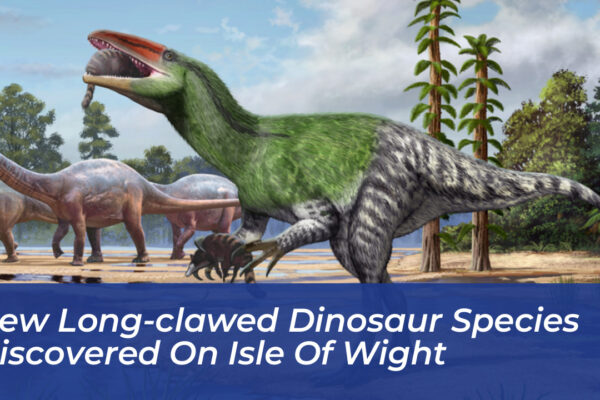 new long clawed dinosaur species discovered on isle of wight 9fnU