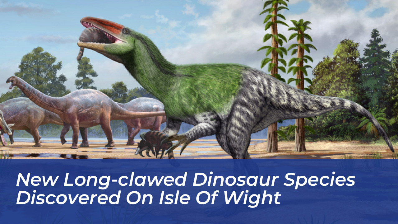 new long clawed dinosaur species discovered on isle of wight 9fnU