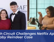 ninth circuit challenges netflix appeal in baby reindeer case OMEf