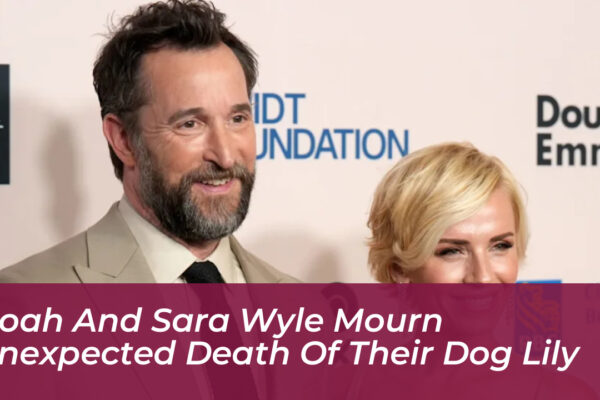 noah and sara wyle mourn unexpected death of their dog lily Mvi0