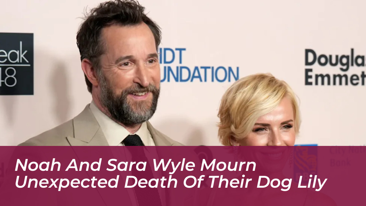 noah and sara wyle mourn unexpected death of their dog lily Mvi0