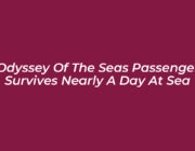 odyssey of the seas passenger survives nearly a day at sea lQxz