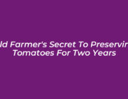 old farmers secret to preserving tomatoes for two years Uhie