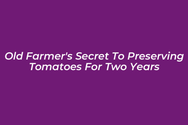 old farmers secret to preserving tomatoes for two years Uhie