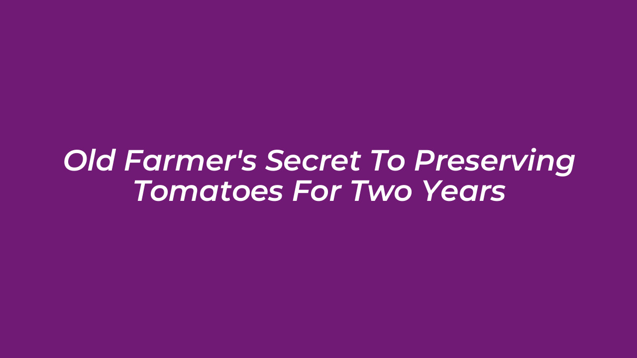 old farmers secret to preserving tomatoes for two years Uhie