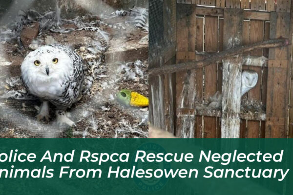 police and rspca rescue neglected animals from halesowen sanctuary 6Szl