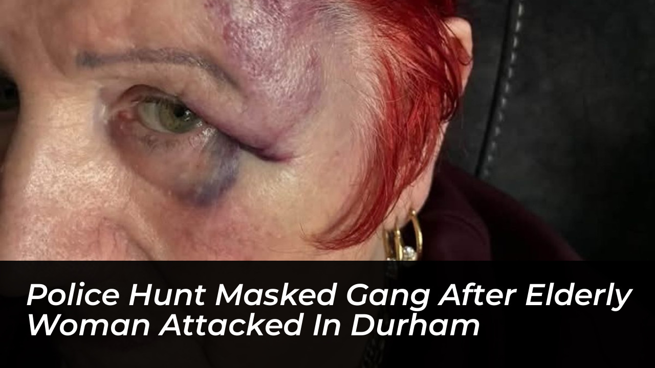 police hunt masked gang after elderly woman attacked in durham 41jS