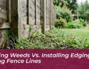pulling weeds vs installing edging along fence lines xPXp