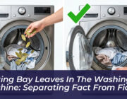 putting bay leaves in the washing machine separating fact from fiction qTZe