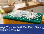 putting coarse salt on dish sponge benefits how to 7wPE