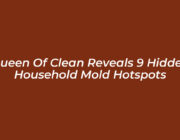 queen of clean reveals 9 hidden household mold hotspots Tbbn