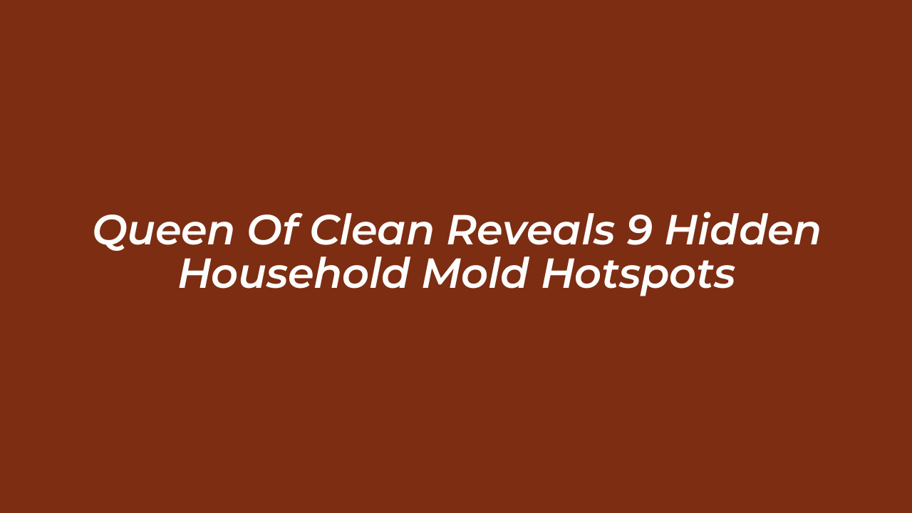 queen of clean reveals 9 hidden household mold hotspots Tbbn