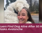 rescuers find dog alive after 50 hours in alaska avalanche AQXs