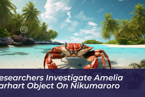 researchers investigate amelia earhart object on nikumaroro KZdq