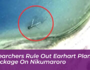 researchers rule out earhart plane wreckage on nikumaroro cLE3
