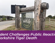 resident challenges public reaction to yorkshire tiger death xeeh