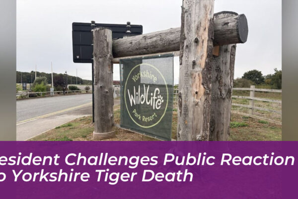resident challenges public reaction to yorkshire tiger death xeeh