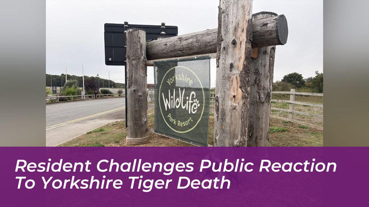 resident challenges public reaction to yorkshire tiger death